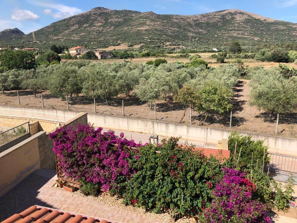 B&B Il Mirto Bianco San Giovanni Suèrgiu Eksteriør bilde